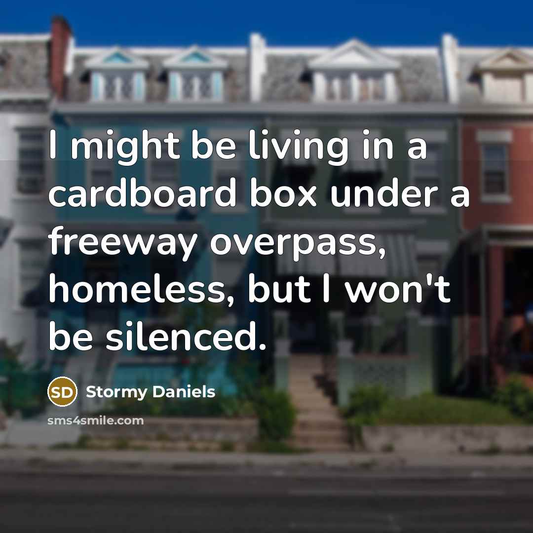 “I might be living in a cardboard box under a…” quote by Stormy Daniels