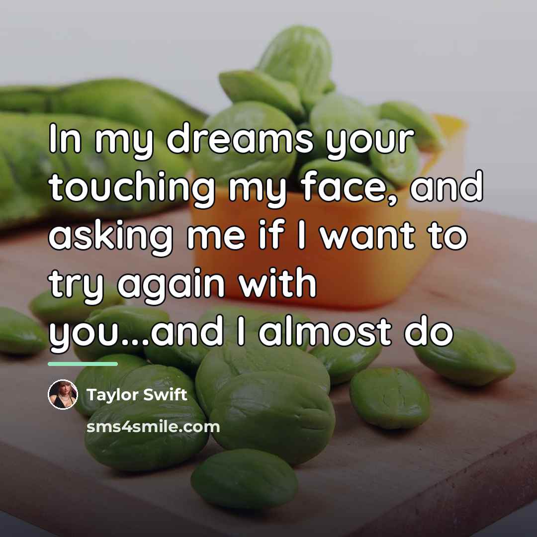“In my dreams your touching my face, and asking me…” quote by Taylor Swift