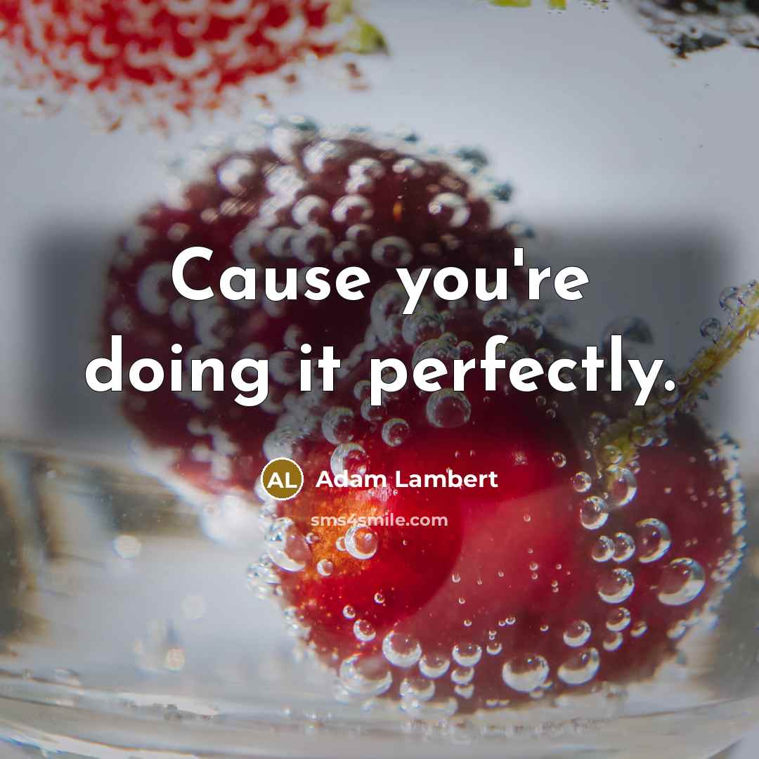 “Cause you're doing it perfectly.…” quote by Adam Lambert
