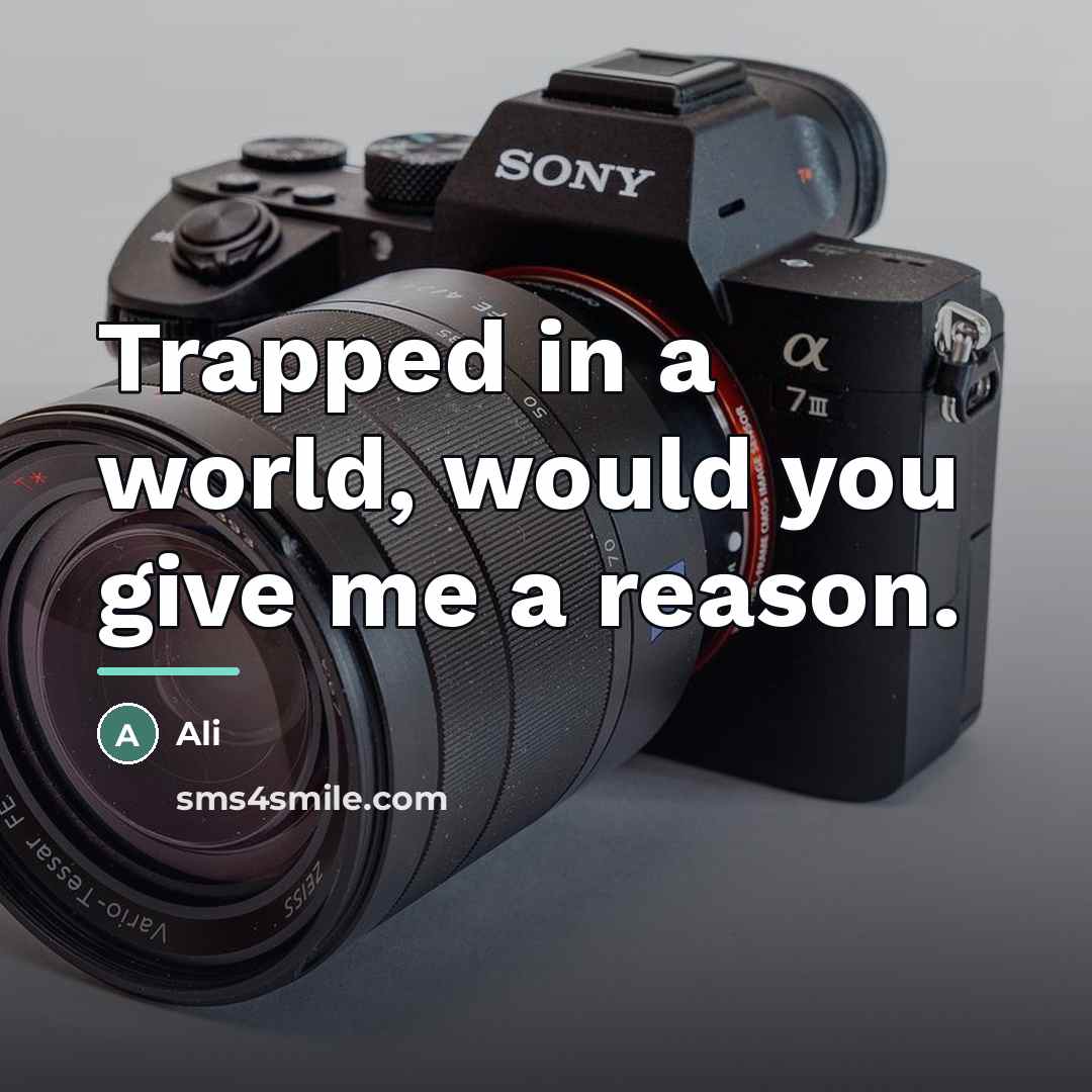 “Trapped in a world, would you give me a reason.…” quote by Ali