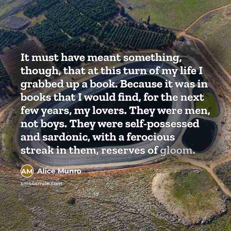 “It must have meant something, though, that at this turn…” quote by Alice Munro