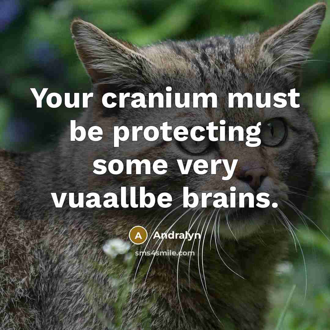 “Your cranium must be protecting some very vuaallbe brains.” quote by Andralyn
