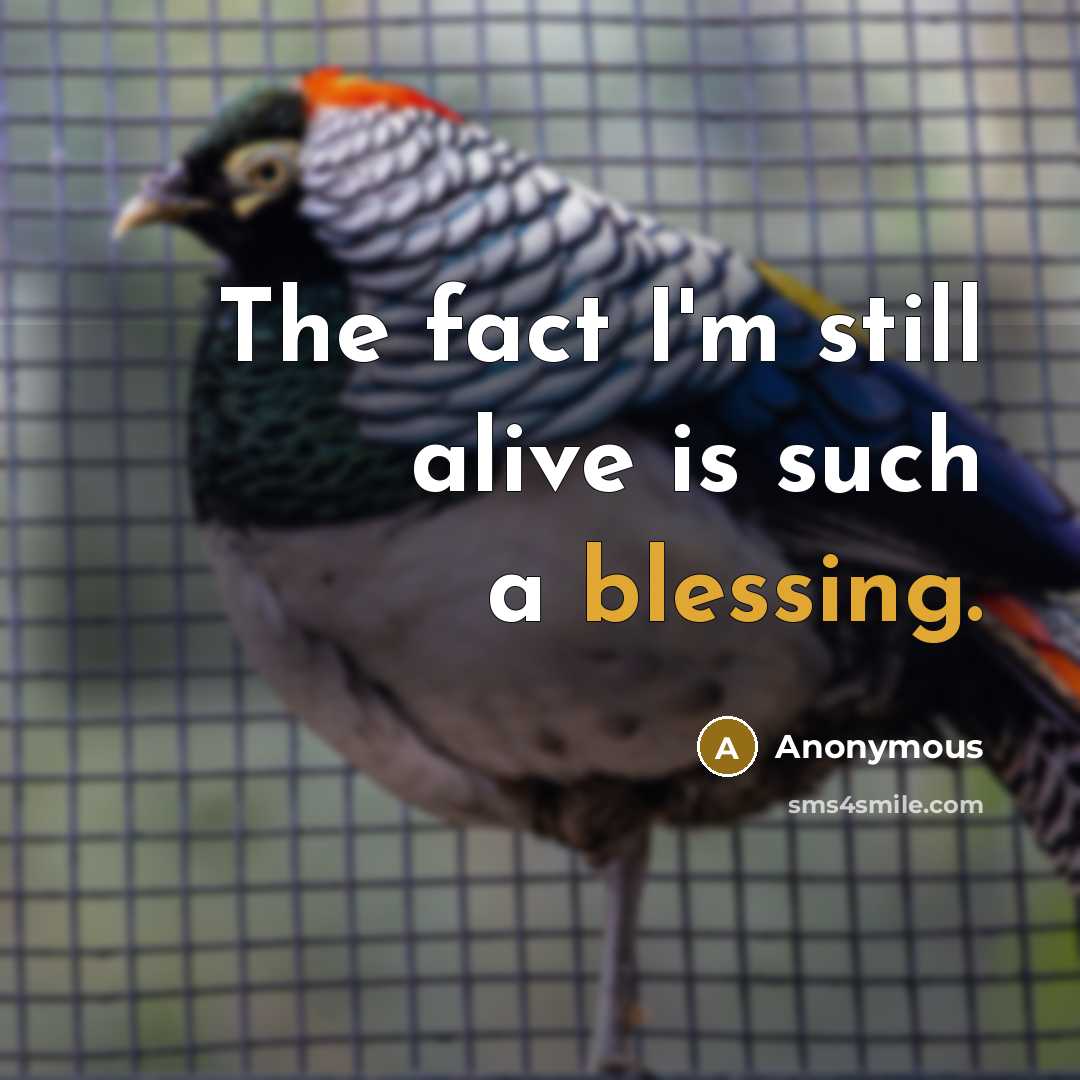 “The fact I'm still alive is such a blessing.…” quote by Anonymous