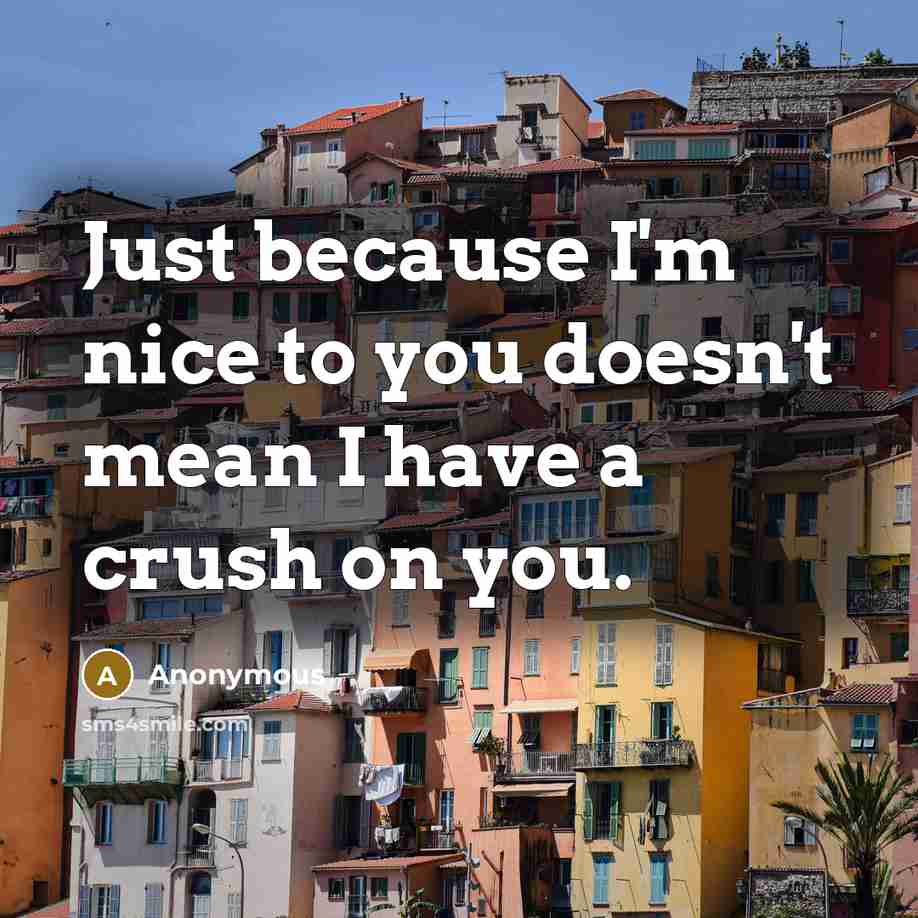 “Just because I'm nice to you doesn't mean I have a crush on you.” quote by Anonymous