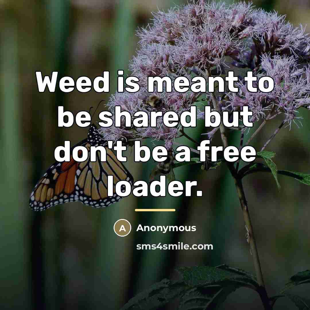 “Weed is meant to be shared but don't be a…” quote by Anonymous