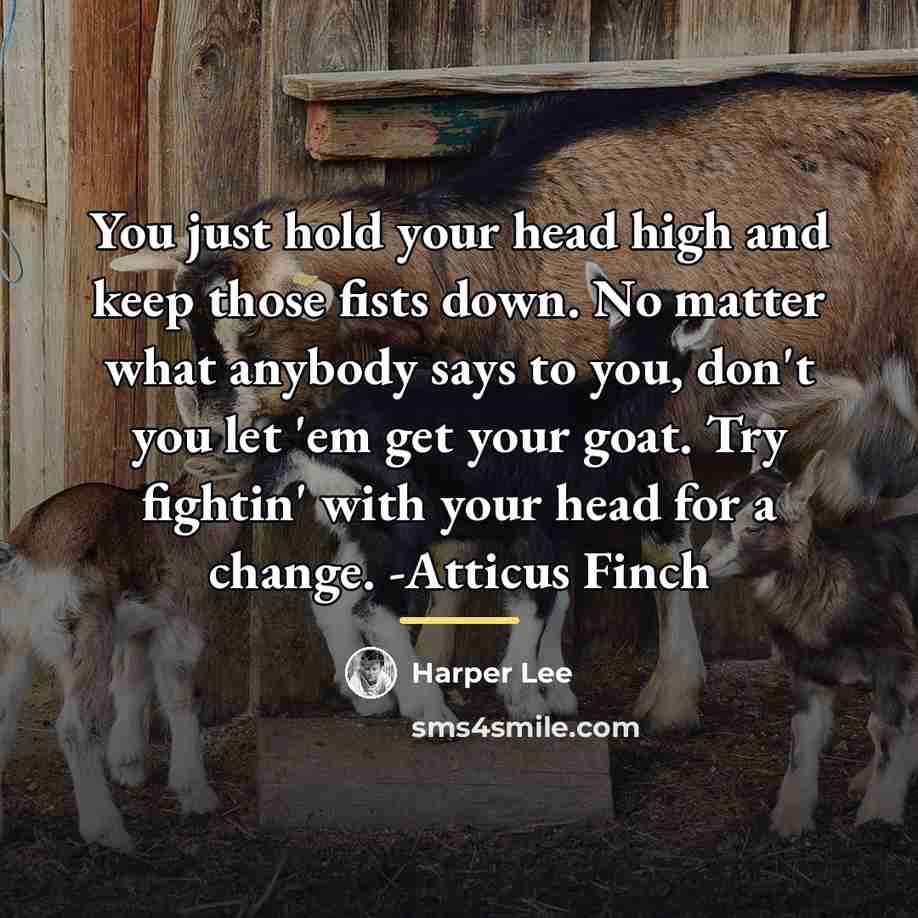“You just hold your head high and keep those fists…” quote by Harper Lee