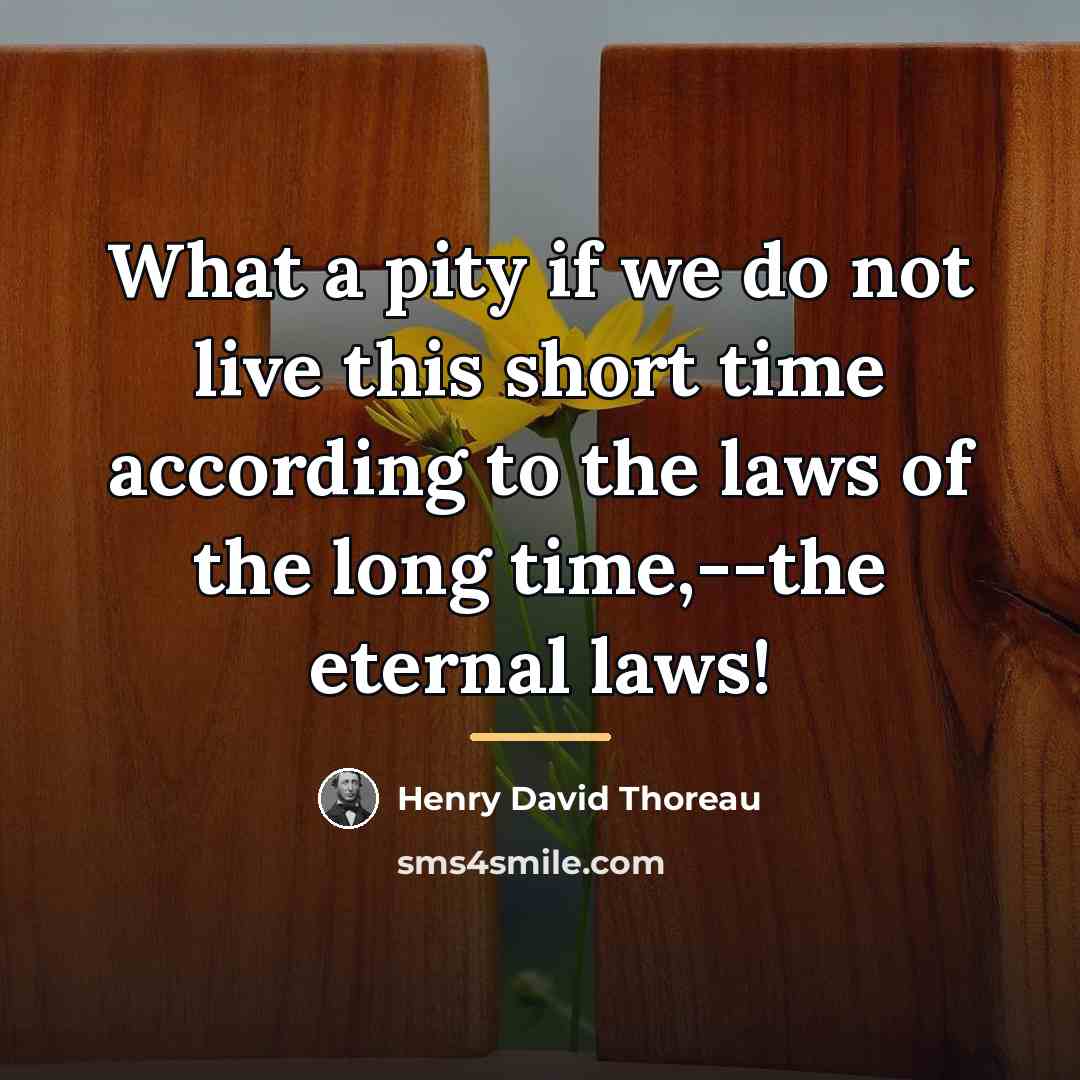 “What a pity if we do not live this short…” quote by Henry David Thoreau