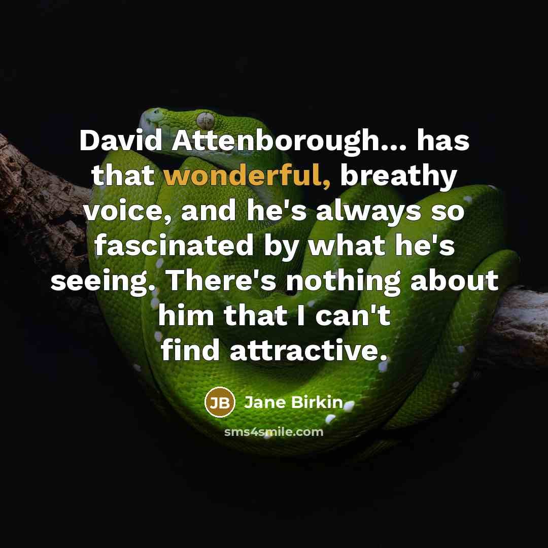 “David Attenborough... has that wonderful, breathy voice, and he's always…” quote by Jane Birkin