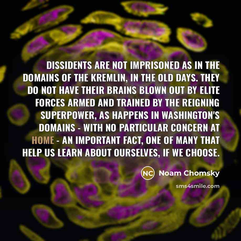 “Dissidents are not imprisoned as in the domains of the…” quote by Noam Chomsky