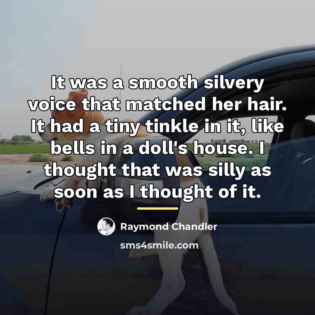 “It was a smooth silvery voice that matched her hair.…” quote by Raymond Chandler