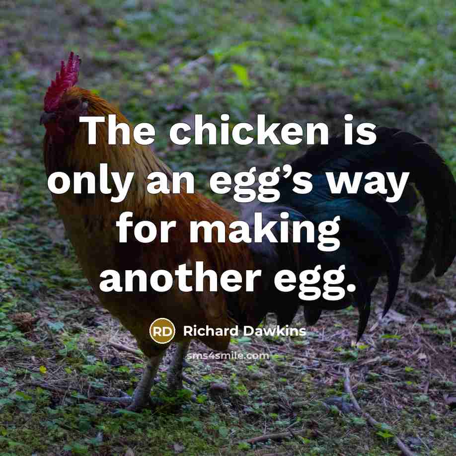 “The chicken is only an egg’s way for making another egg.” quote by Richard Dawkins