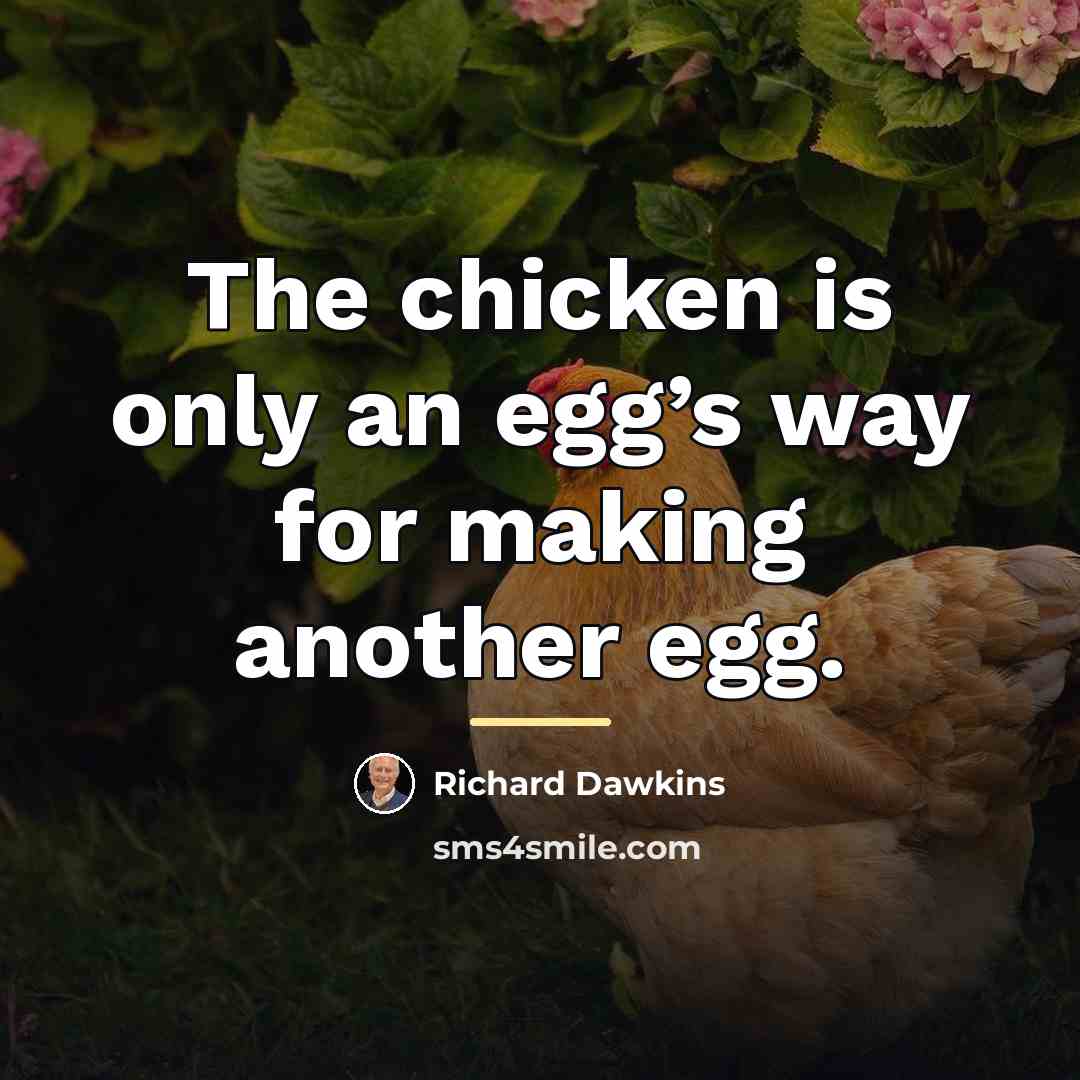 “The chicken is only an egg’s way for making another…” quote by Richard Dawkins
