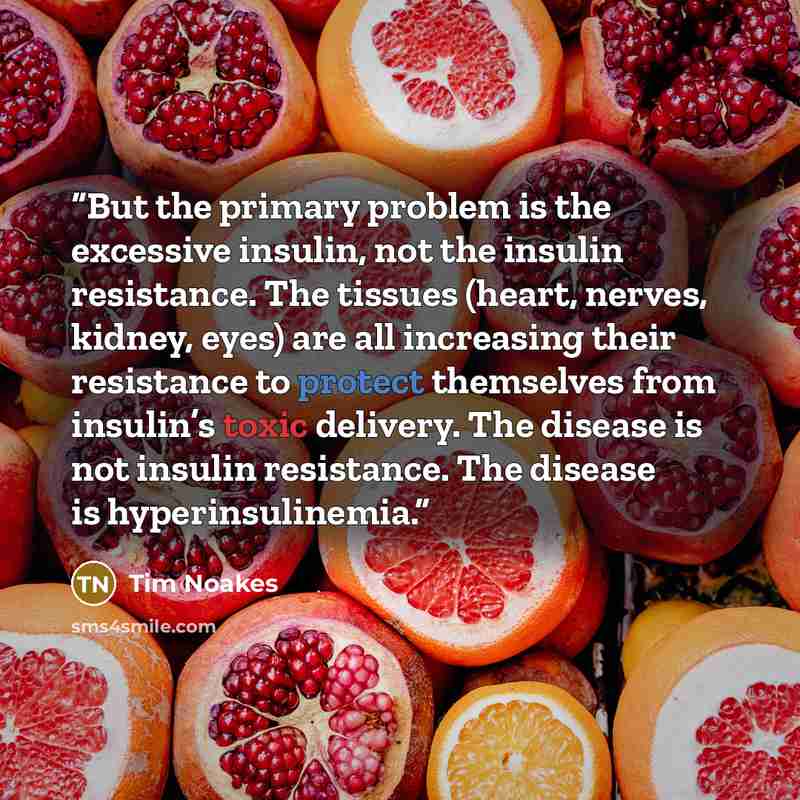 “But the primary problem is the excessive insulin, not the insulin resistance. The tissues (heart, nerves, kidney, eyes) are all increasing their resistance to protect themselves from insulin’s toxic delivery. The disease is not insulin resistance. The disease is hyperinsulinemia.” quote by Tim Noakes