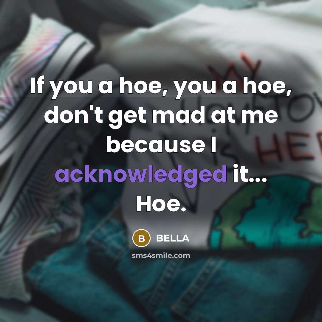 “If you a hoe, you a hoe, don't get mad at me because I acknowledged it... Hoe.” quote by Bella