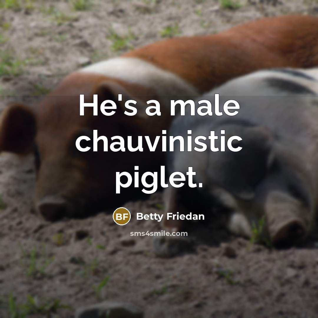 “He's a male chauvinistic piglet.…” quote by Betty Friedan