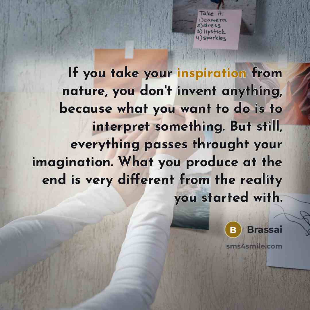 “If you take your inspiration from nature, you don't invent…” quote by Brassai