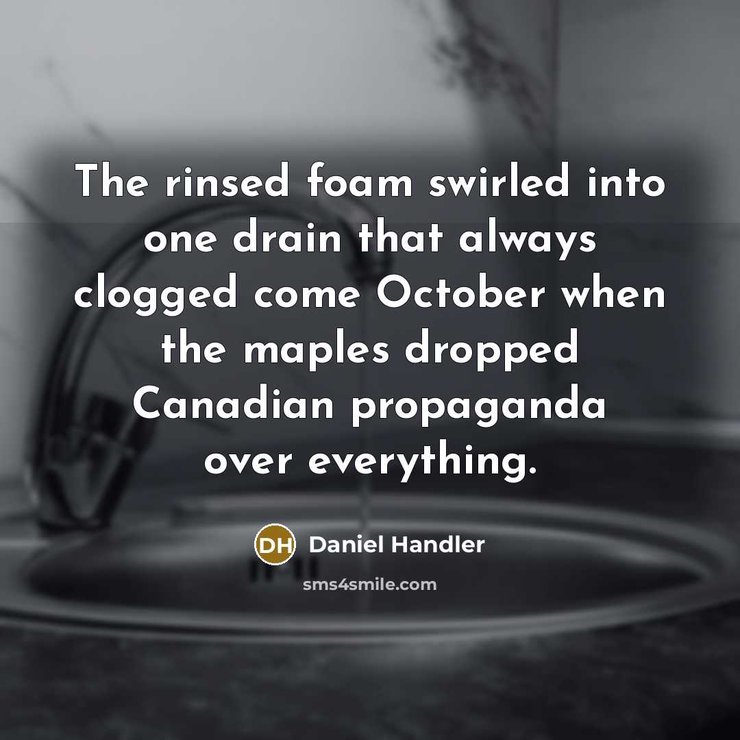 “The rinsed foam swirled into one drain that always clogged…” quote by Daniel Handler