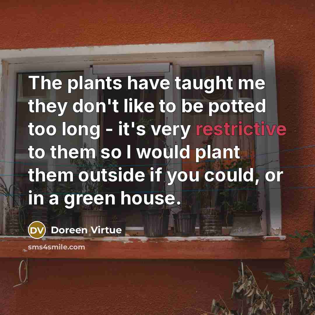 “The plants have taught me they don't like to be potted too long - it's very restrictive to them so I would plant them outside if you could, or in a green house.” quote by Doreen Virtue