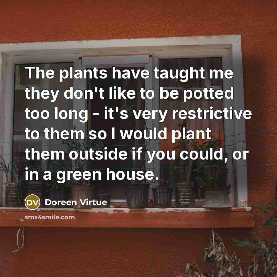 “The plants have taught me they don't like to be…” quote by Doreen Virtue