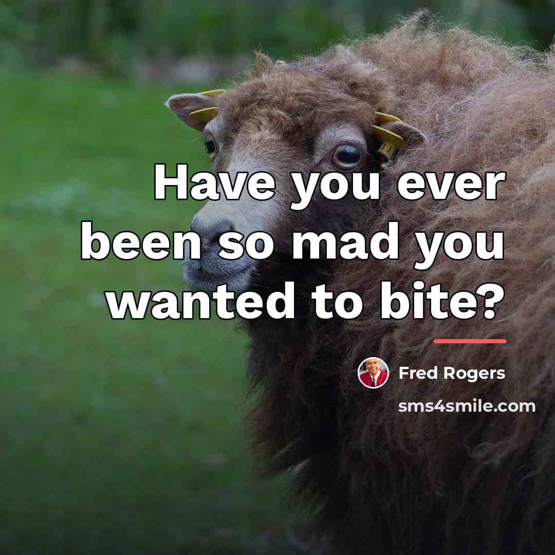 “Have you ever been so mad you wanted to bite?…” quote by Fred Rogers