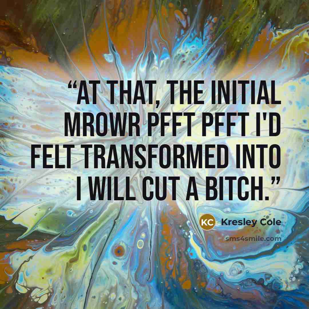 “At that, the initial mrowr pfft pfft I'd felt transformed into I will cut a bitch.” quote by Kresley Cole