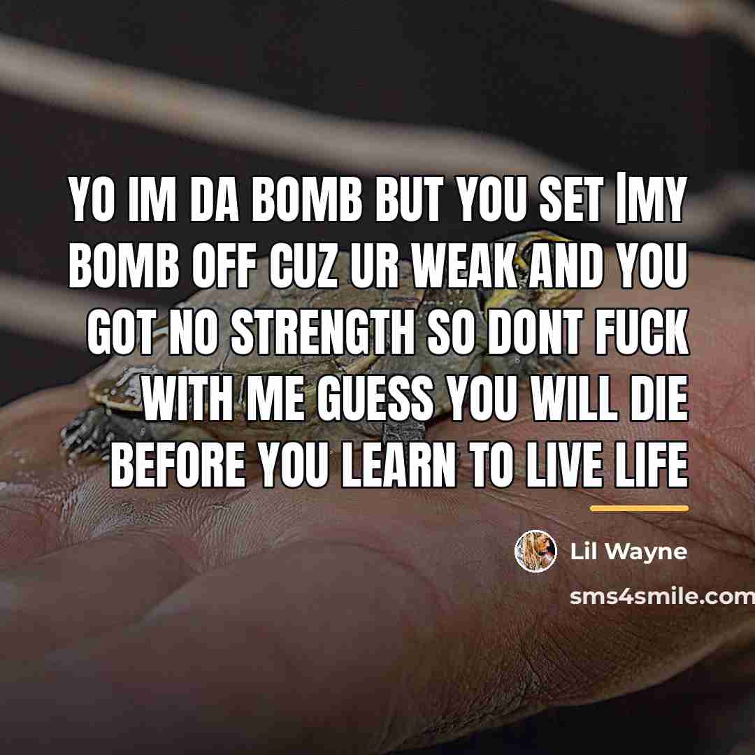 “Yo Im Da Bomb But You Set |My Bomb Off…” quote by Lil Wayne