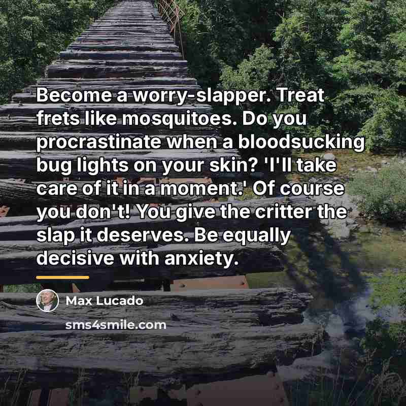 “Become a worry-slapper. Treat frets like mosquitoes. Do you procrastinate…” quote by Max Lucado