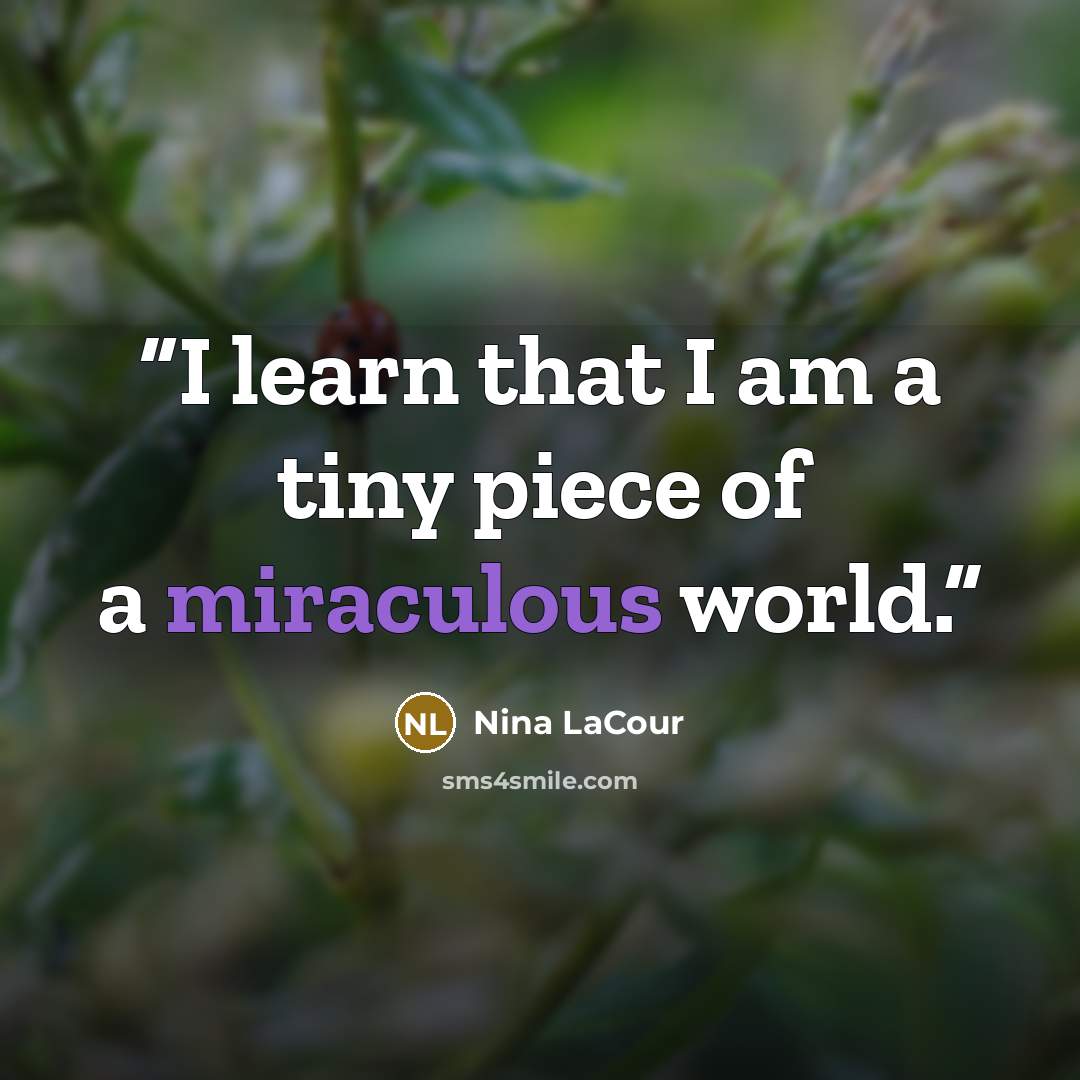 “I learn that I am a tiny piece of a miraculous world.” quote by Nina LaCour