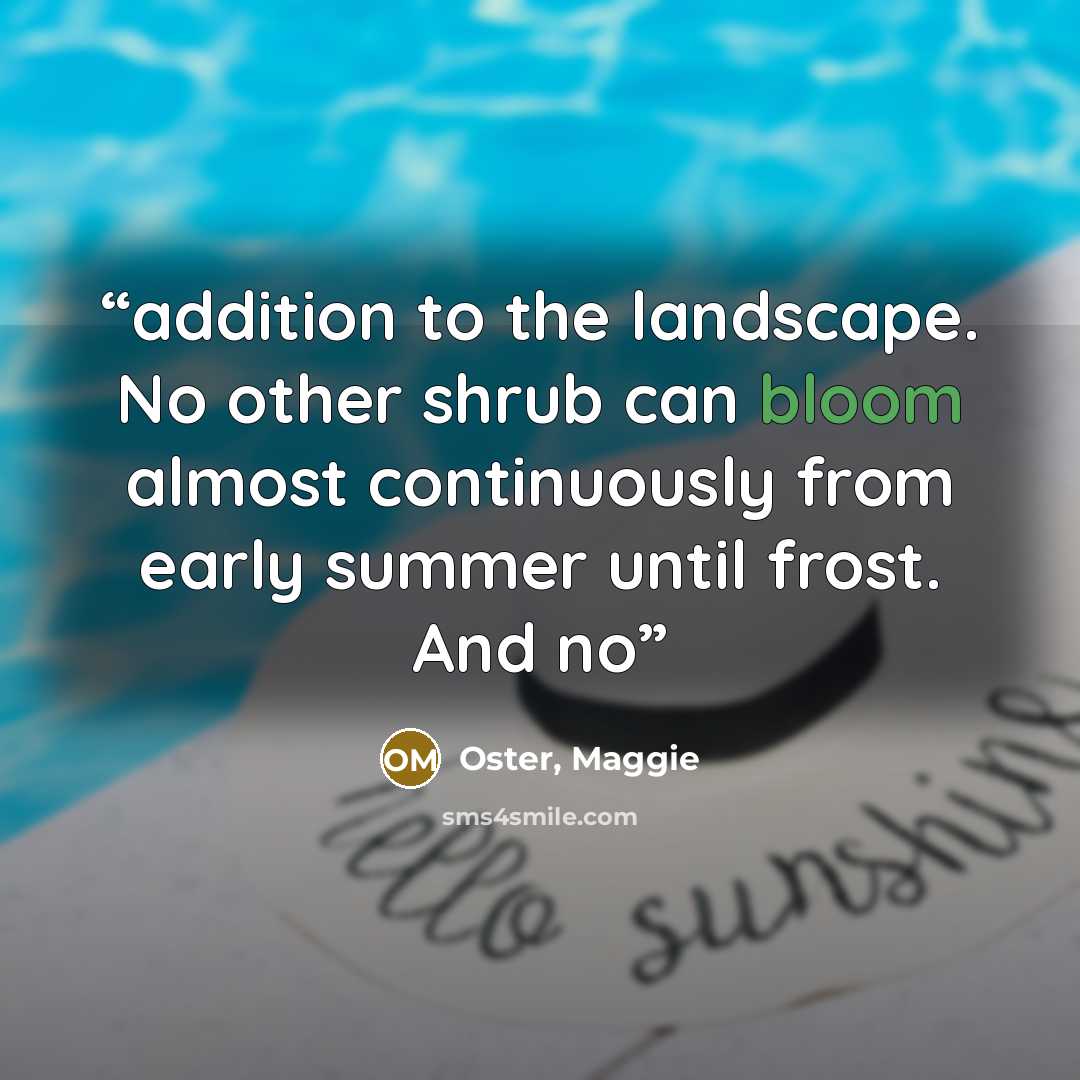 “addition to the landscape. No other shrub can bloom almost continuously from early summer until frost. And no” quote by Oster, Maggie