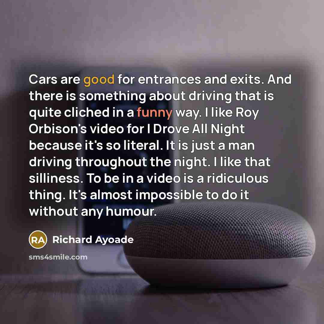 “Cars are good for entrances and exits. And there is…” quote by Richard Ayoade