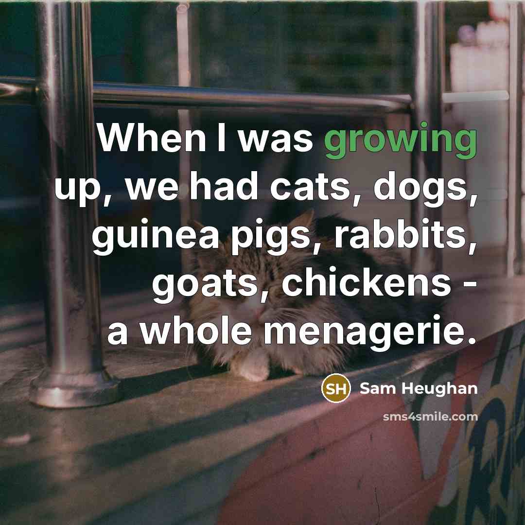 “When I was growing up, we had cats, dogs, guinea…” quote by Sam Heughan