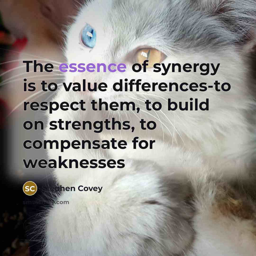 “The essence of synergy is to value differences-to respect them,…” quote by Stephen Covey