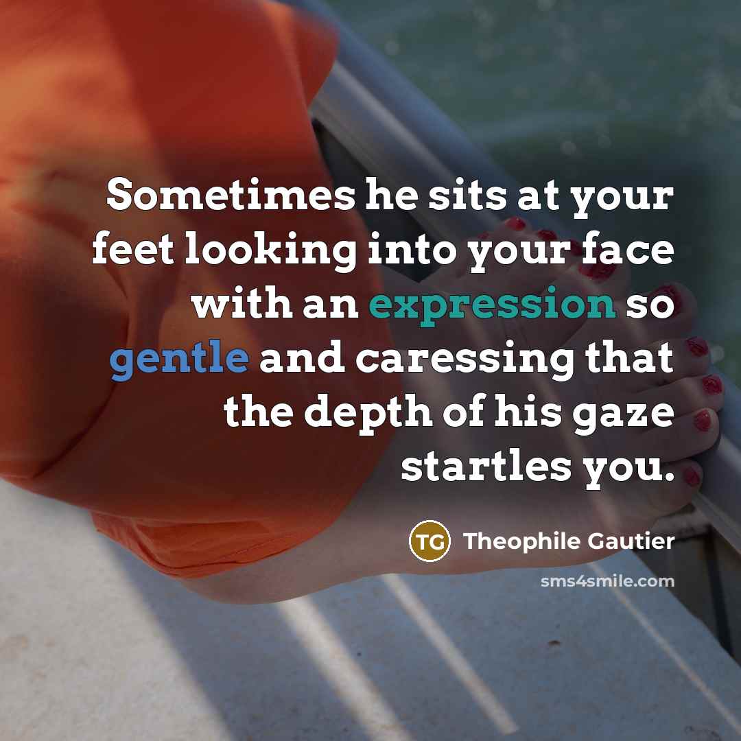 “Sometimes he sits at your feet looking into your face with an expression so gentle and caressing that the depth of his gaze startles you.” quote by Theophile Gautier