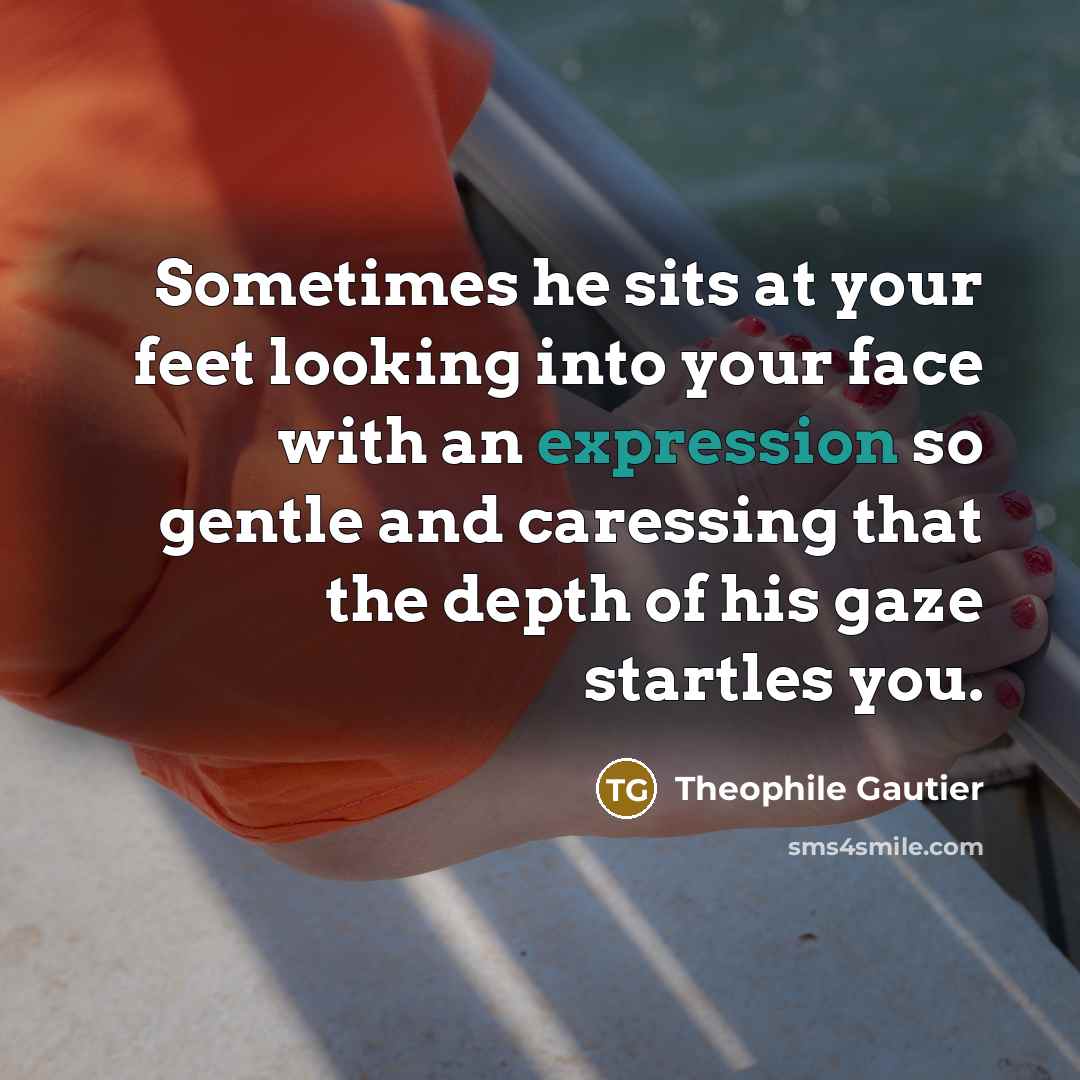 “Sometimes he sits at your feet looking into your face…” quote by Theophile Gautier