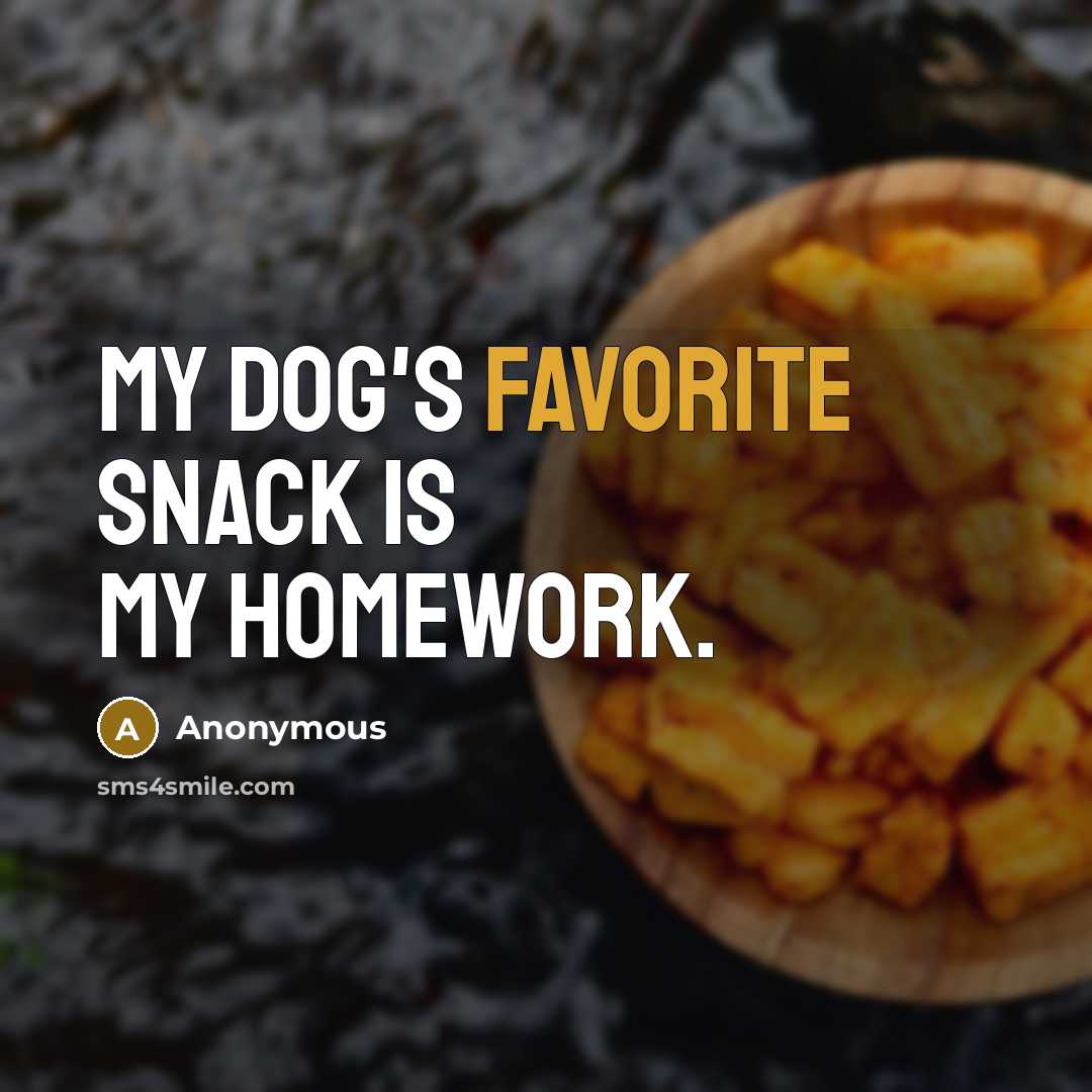 “My dog's favorite snack is my homework.” quote by Anonymous