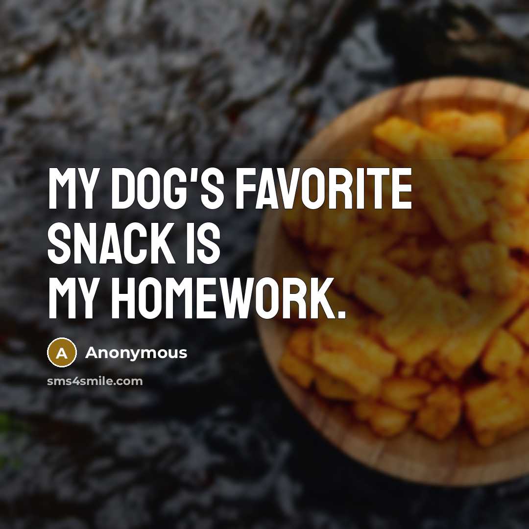 “My dog's favorite snack is my homework.…” quote by Anonymous