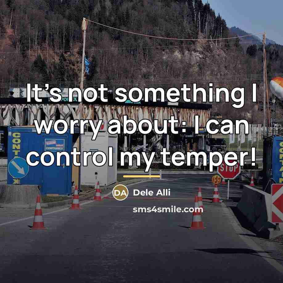 “It's not something I worry about: I can control my…” quote by Dele Alli
