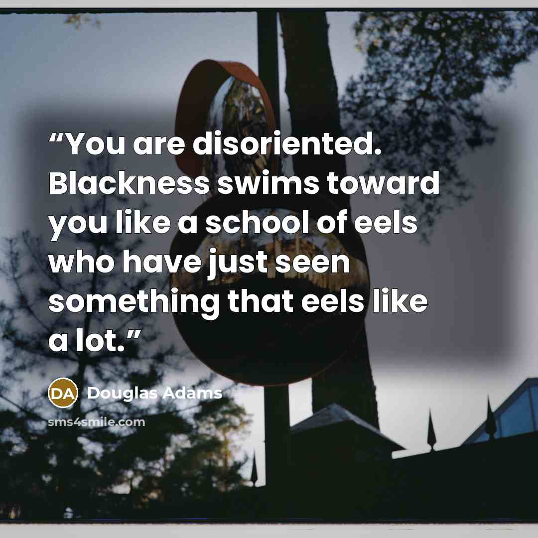 “You are disoriented. Blackness swims toward you like a school of eels who have just seen something that eels like a lot.” quote by Douglas Adams