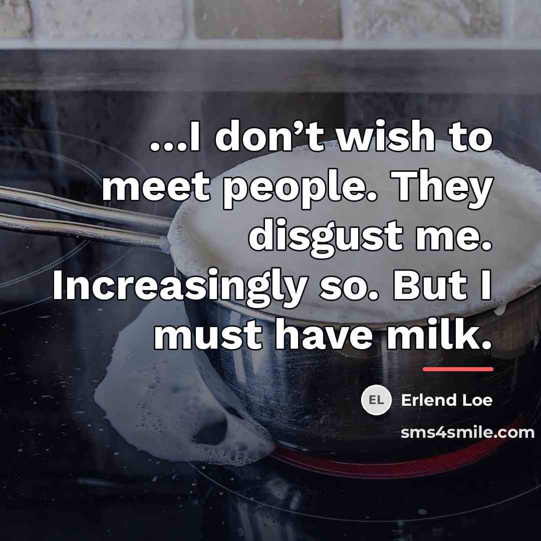 “I don’t wish to meet people. They disgust me. Increasingly…” quote by Erlend Loe