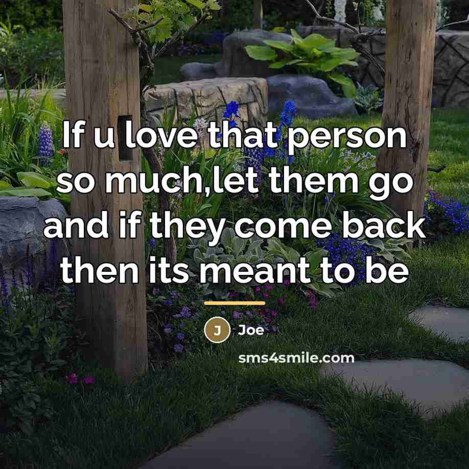 “If u love that person so much,let them go and…” quote by Joe
