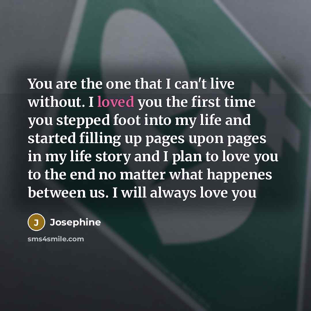 “You are the one that I can't live without. I…” quote by Josephine