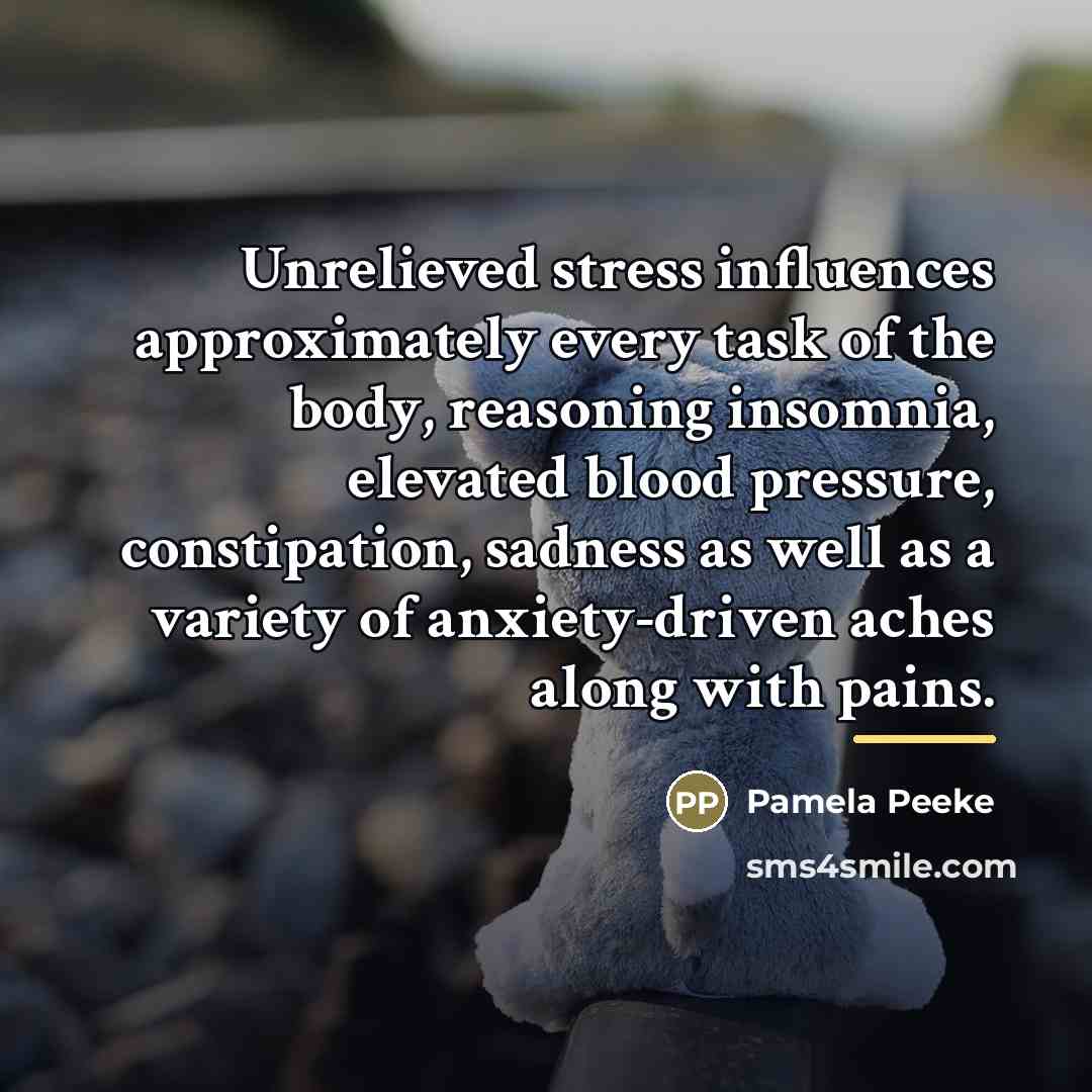 “Unrelieved stress influences approximately every task of the body, reasoning…” quote by Pamela Peeke