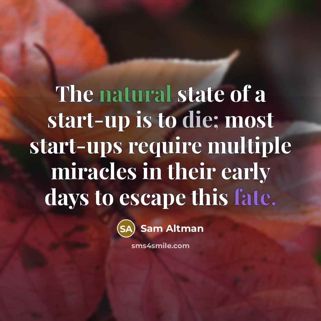 “The natural state of a start-up is to die; most…” quote by Sam Altman