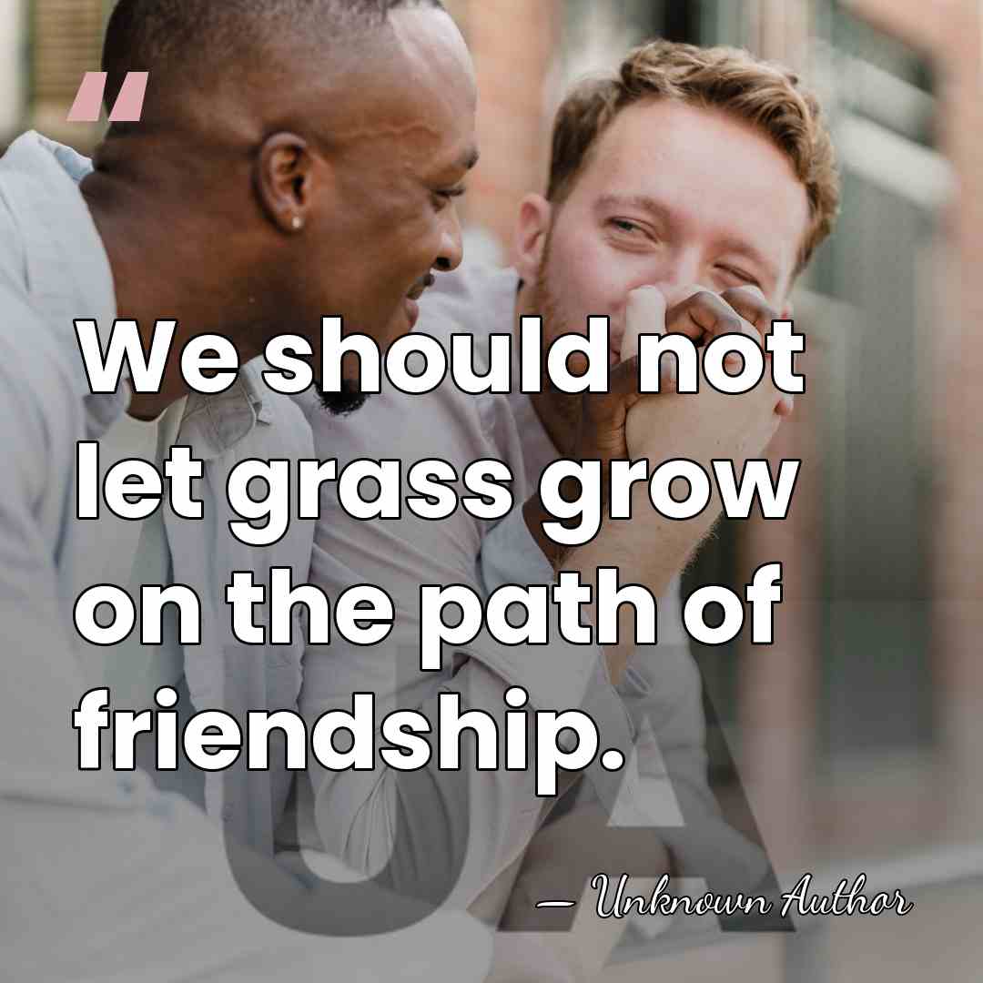 We should not let grass grow on the path of friendship. - Unknown Author
