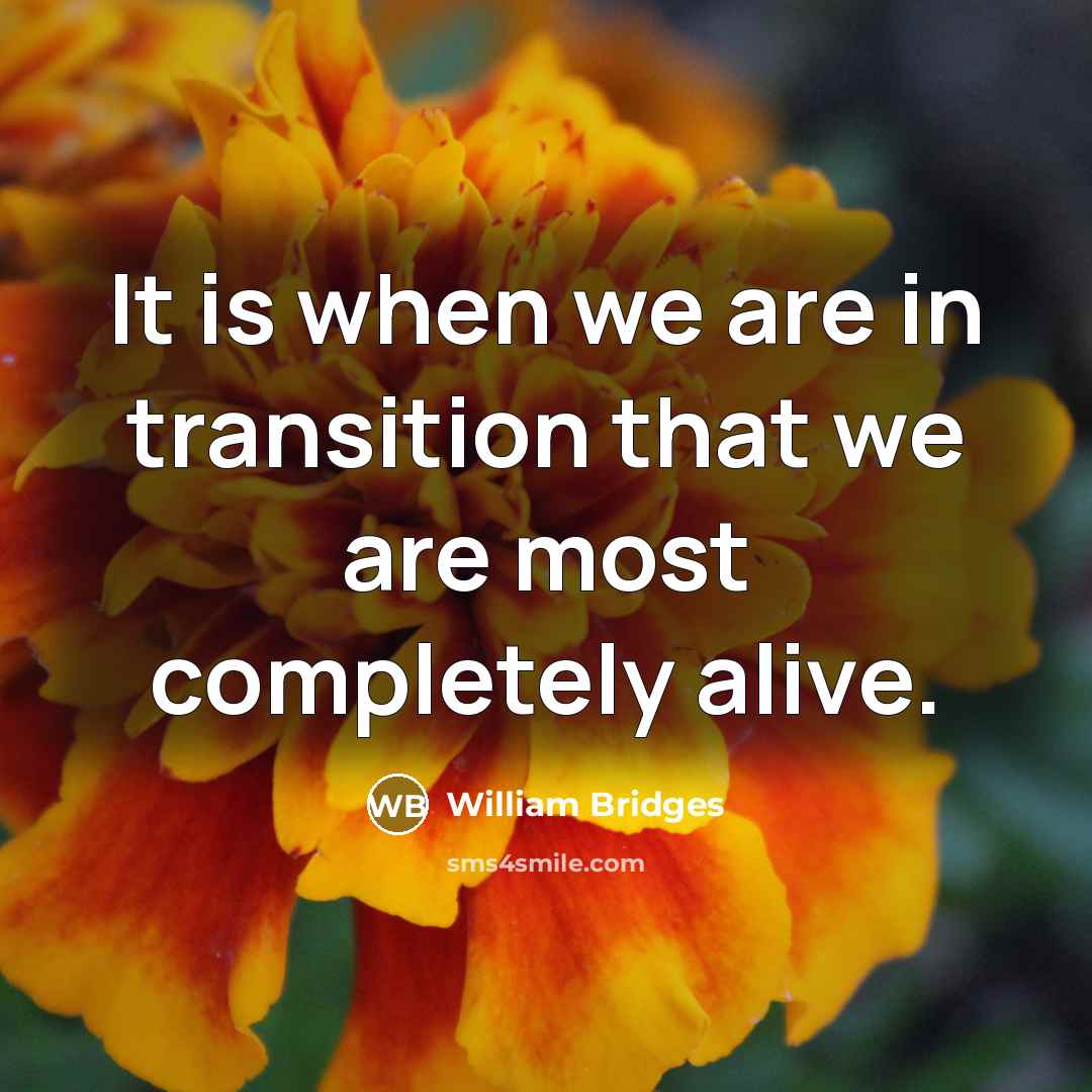 “It is when we are in transition that we are…” quote by William Bridges