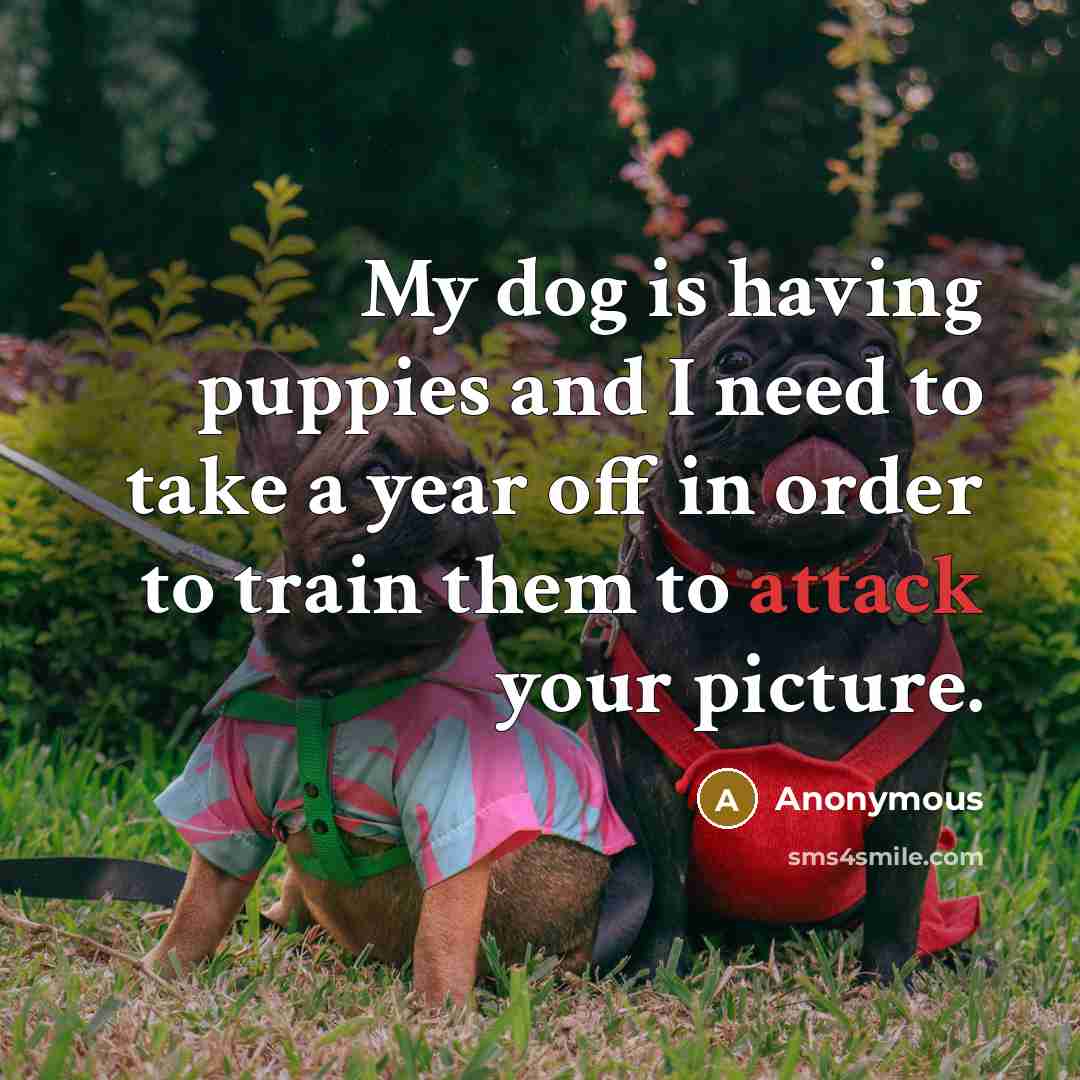 “My dog is having puppies and I need to take…” quote by Anonymous