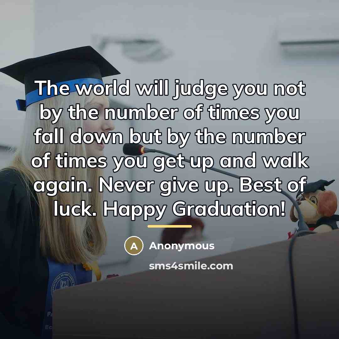 “The world will judge you not by the number of…” quote by Anonymous