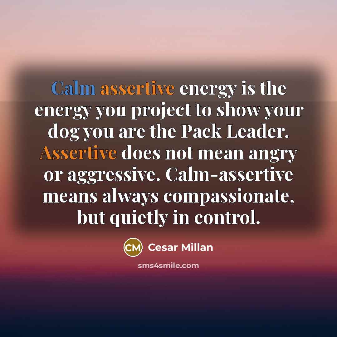 “Calm assertive energy is the energy you project to show…” quote by Cesar Millan