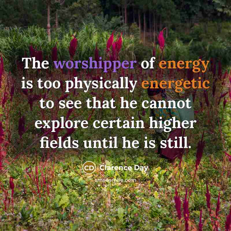 “The worshipper of energy is too physically energetic to see…” quote by Clarence Day