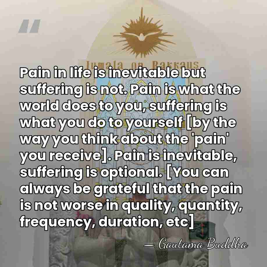 Pain in life is inevitable but suffering is not. Pain is what&hellip; - Gautama Buddha
